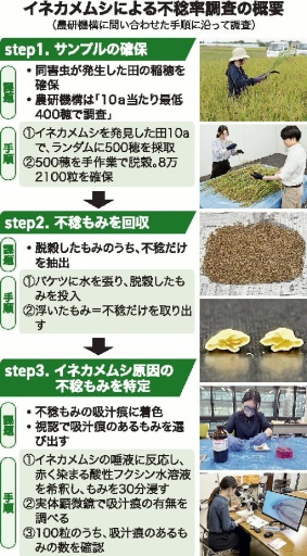 イネカメムシによる不稔率調査の概要